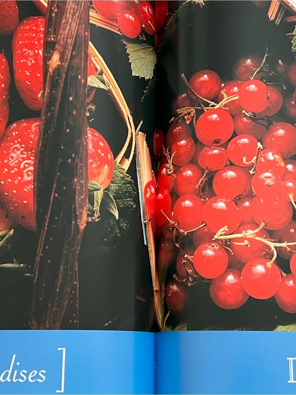 Ducasse Flavors of France Cookbook
